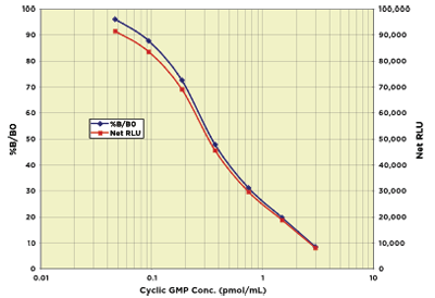 Cyclic GMP Chemiluminescent Immunoassay Kit